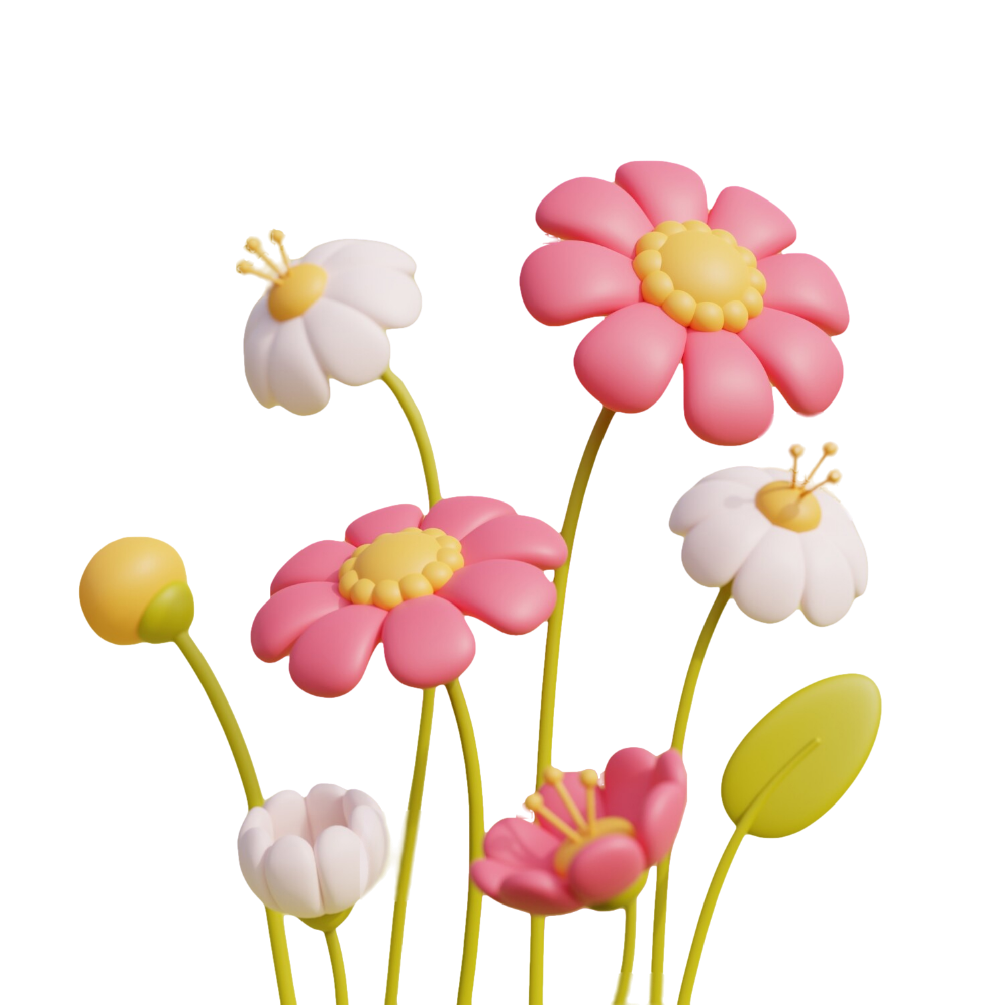 blossom